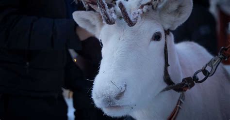  Tarua Tuuli ja Kuu – Mikä tapahtuu kun taivaalliset olennot putoavat maan pinnalle?