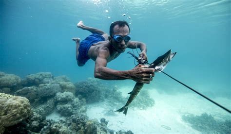  Young Man With Wings And A Talking Fish: A Dive into Indonesian Folklore?